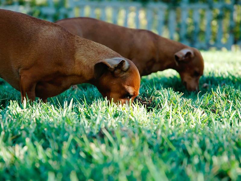 sudoku grid completion screenshot 6