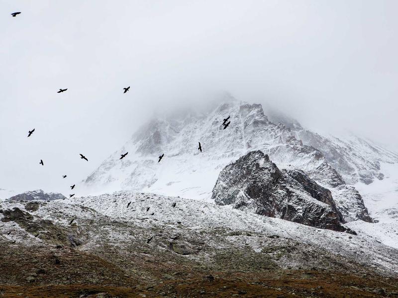 sudoku grid completion screenshot 2